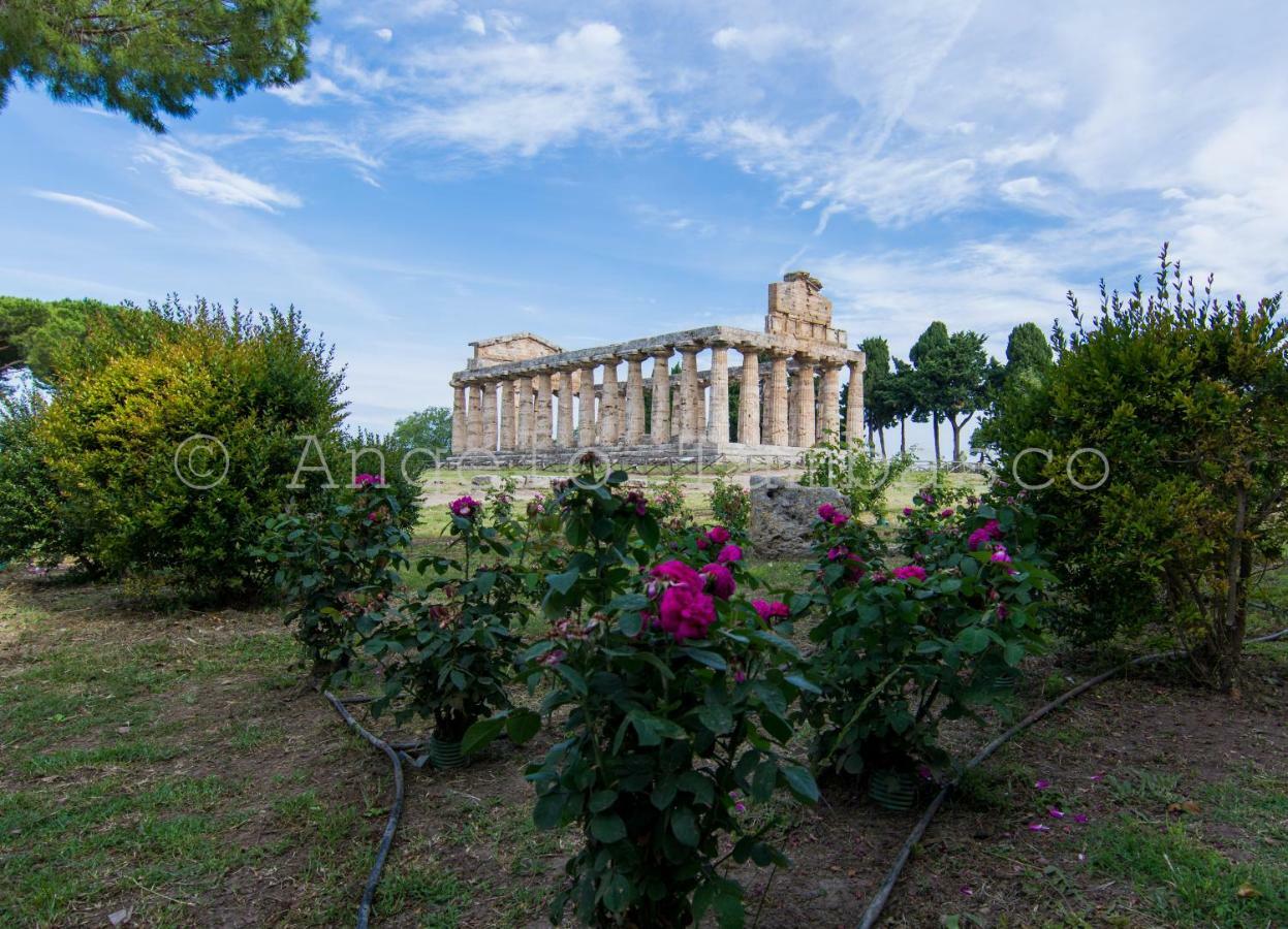 Casa Marino Διαμέρισμα Capaccio Εξωτερικό φωτογραφία